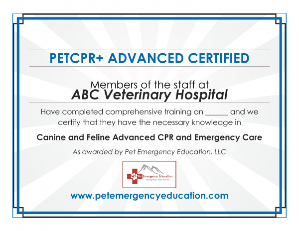 Lobby Certificate - Image 2