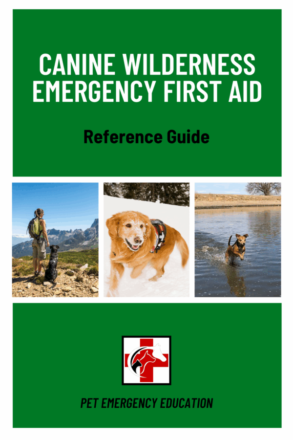 Canine Wilderness Emergency First Aid Course - Image 2