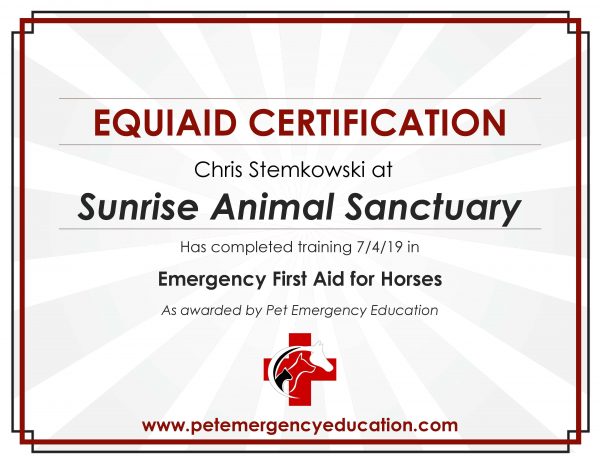 Lobby Certificate - Image 4