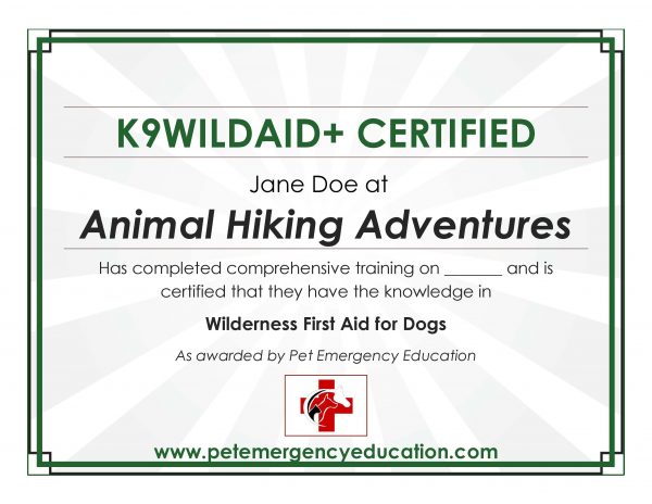 Lobby Certificate - Image 3