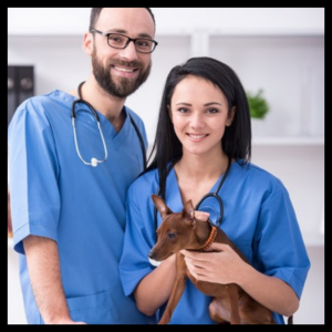 Canine and Feline CPR and Advanced Life Support (SKU-CANADV)