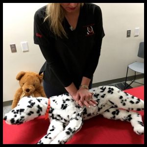 Canine and Feline CPR and First Aid Certification Course (SKU-CANPETCPR)