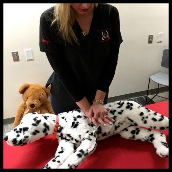 Canine and Feline CPR and First Aid Certification Course (SKU-CANPETCPR)