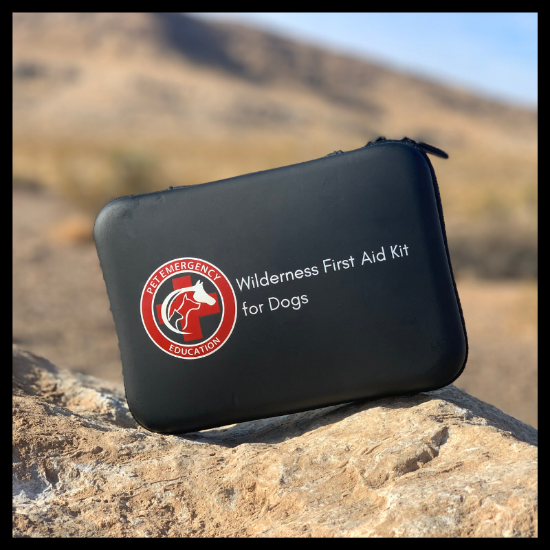 Compact Travel Size Dog First Aid Kit