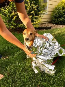 Thermal Emergency Survival Blanket