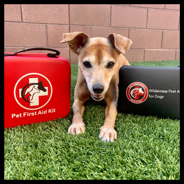 Canine and Feline CPR and First Aid for Grooming Professionals (SKU-CANGROOM) - Image 5