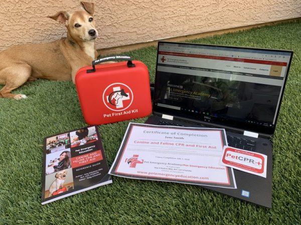 Canine and Feline CPR and Advanced Life Support (SKU-CANADV) - Image 6