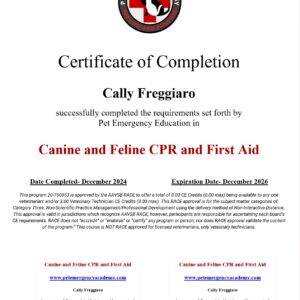 Custom Printed Certification Wallet Cards