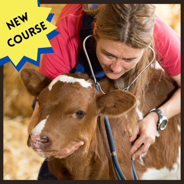 Livestock Emergency First Aid and Wellness Care Certification Course