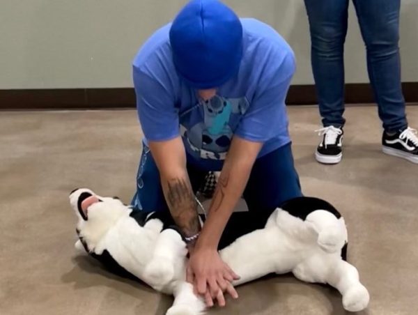 Canine and Feline CPR and Advanced Life Support for Vet Professionals Virtual Live Certification Class- 2/26/25 7pm EST/6pm CST/5pm MST/4pm PST - Image 2
