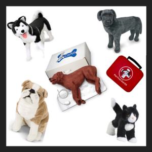 Educational Institution Instructor Supply Kit