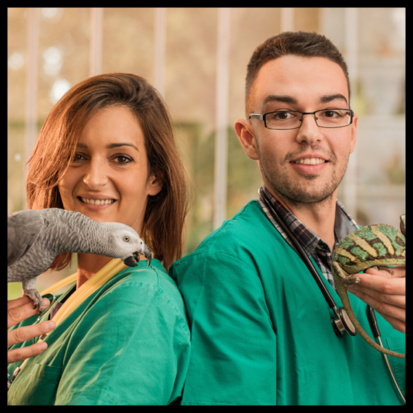 Reptile, Amphibian, Avian and Small Mammal Emergency First Aid Certification Course
