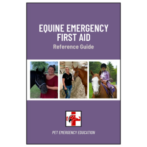 Equine Emergency First Aid Reference Guide